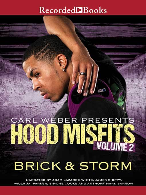 Title details for Hood Misfits Volume 2 by Brick - Available